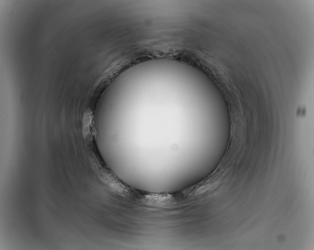 X0000099510480200805291153