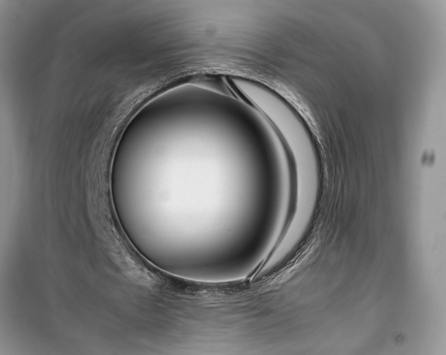 X0000099510481200805291153