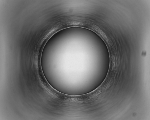 X0000099510482200805291153