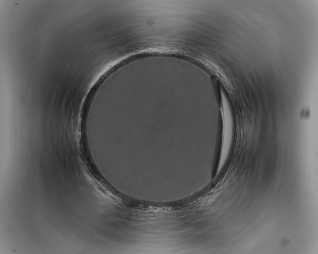 X0000099510484200805291153