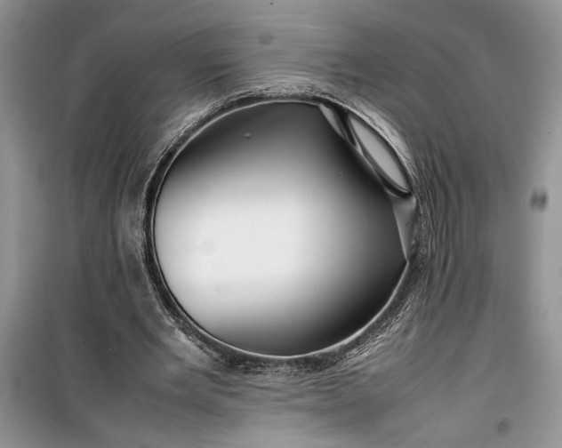 X0000099510485200805291153