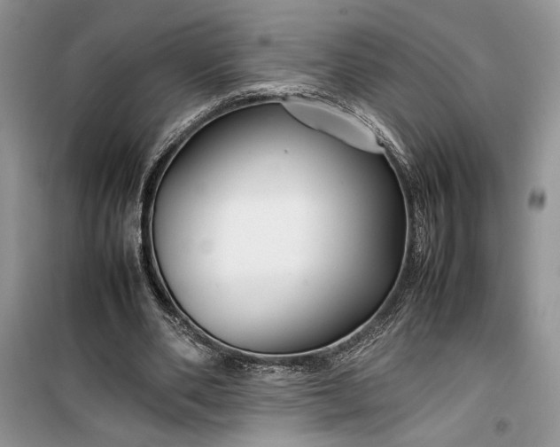 X0000099510486200805291153