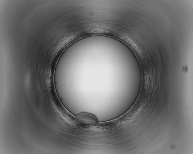 X0000099510490200805291153