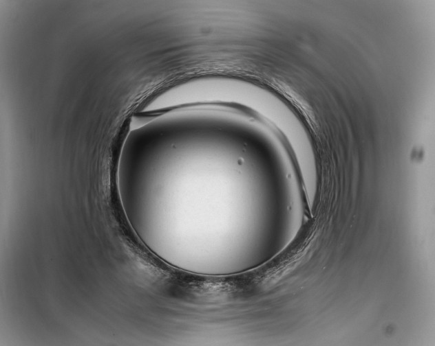 X0000099510493200805291153