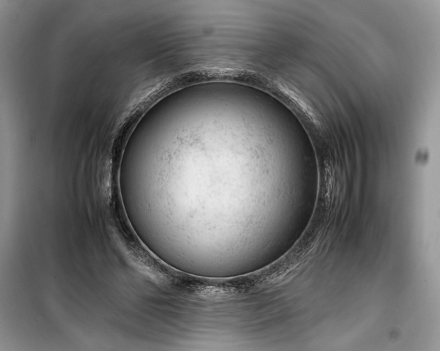 X0000099510494200805291153