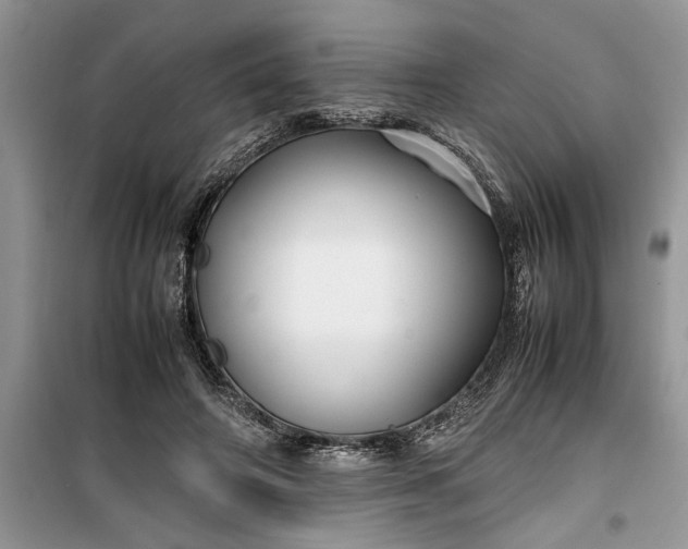 X0000099510498200805291152