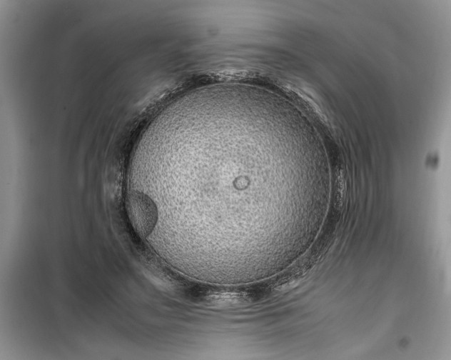 X0000099510499200805291152