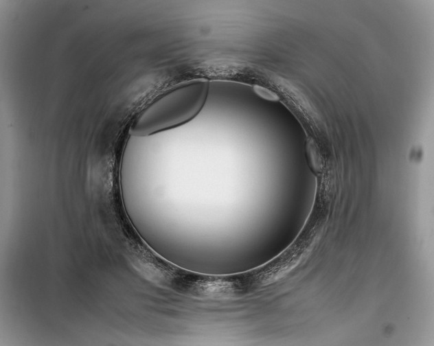 X0000099510501200805291152