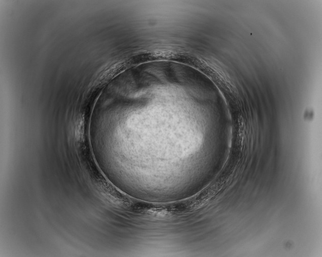 X0000099510502200805291152