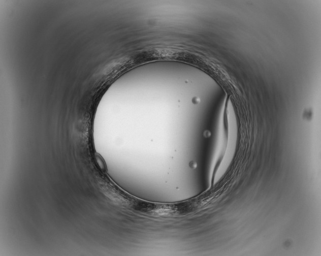 X0000099510505200805291152