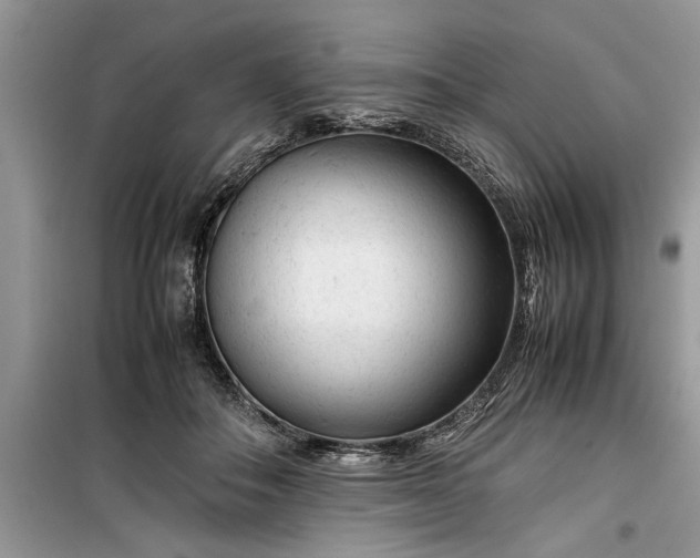 X0000099510506200805291152