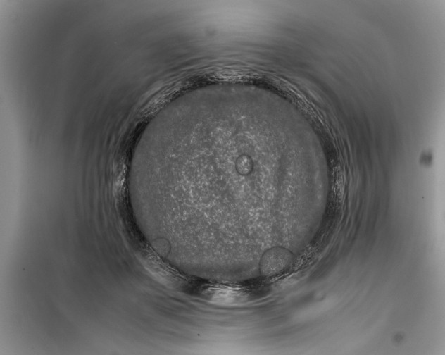 X0000099510507200805291152