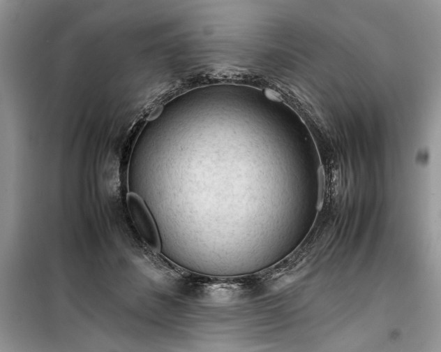 X0000099510508200805291152