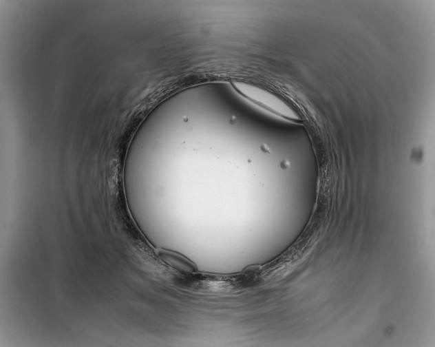 X0000099510509200805291152