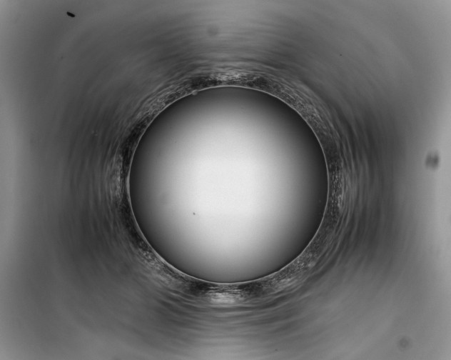 X0000099510510200805291152