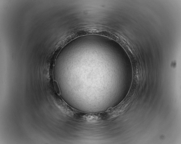 X0000099510512200805291152