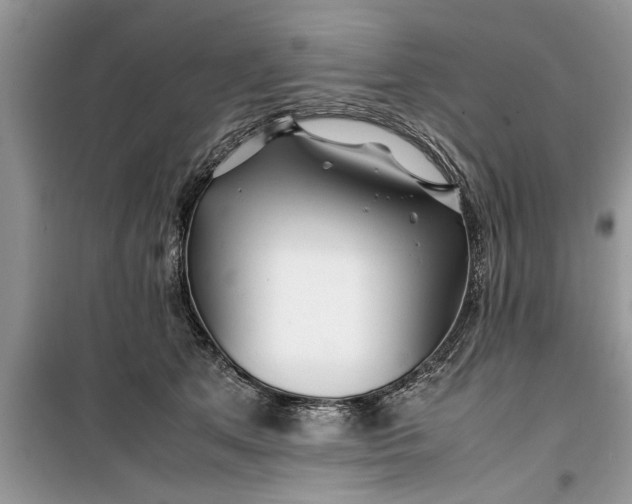 X0000099510513200805291152