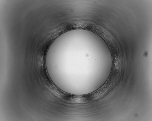 X0000099510514200805291152