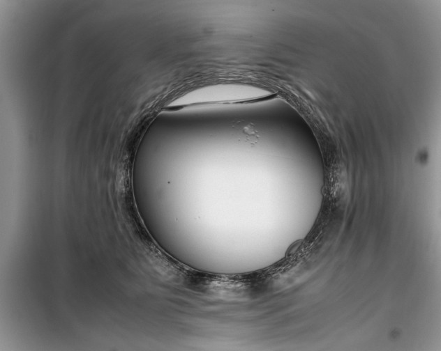 X0000099510515200805291152