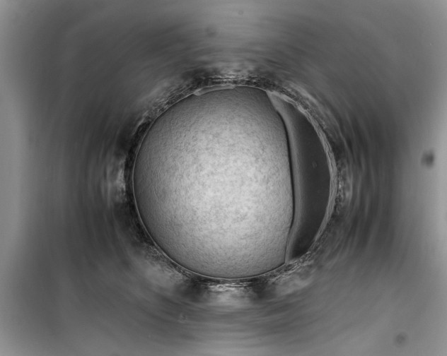 X0000099510516200805291152