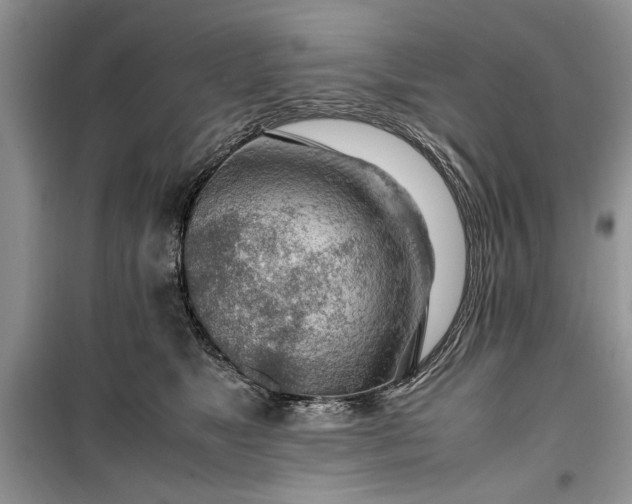 X0000099510517200805291152