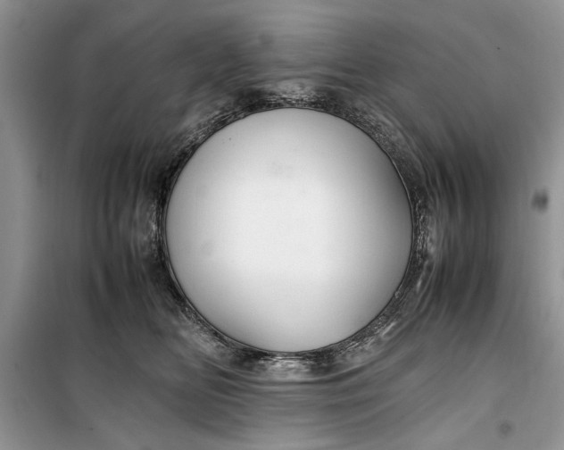 X0000099510518200805291152