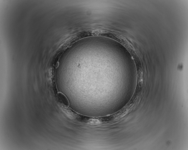 X0000099510519200805291152