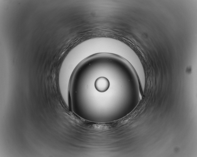 X0000099510520200805291152