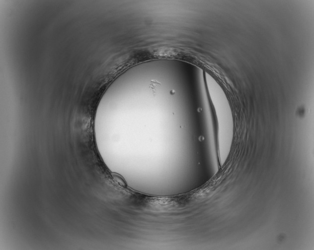 X0000099510521200805291152