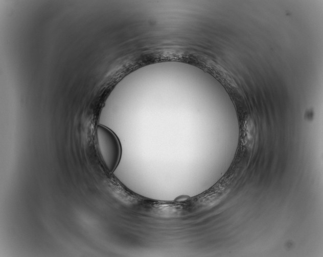 X0000099510522200805291152