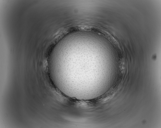 X0000099510523200805291152