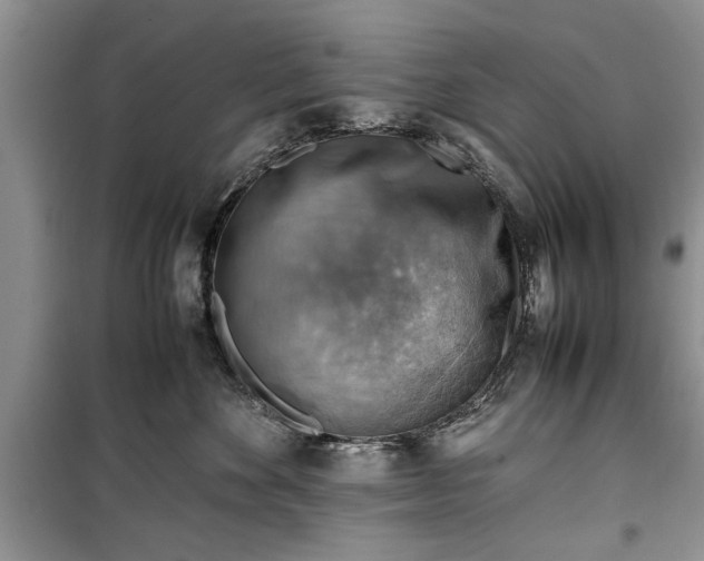 X0000099510524200805291152