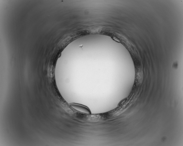 X0000099510525200805291152