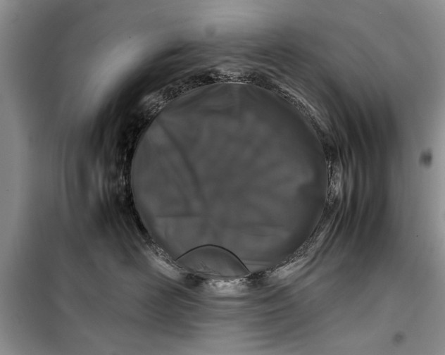 X0000099510526200805291152