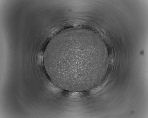 X0000099510527200805291152