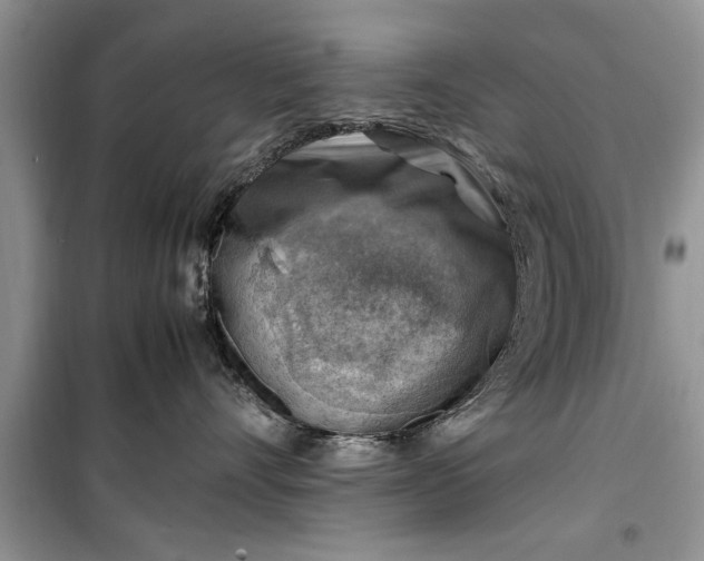 X0000099510528200805291152