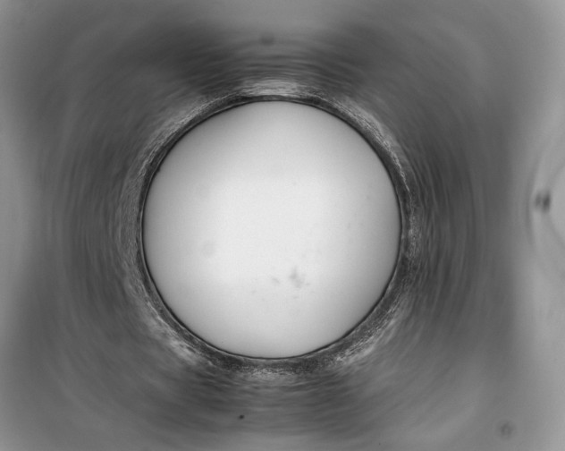 X0000099510529200805291151