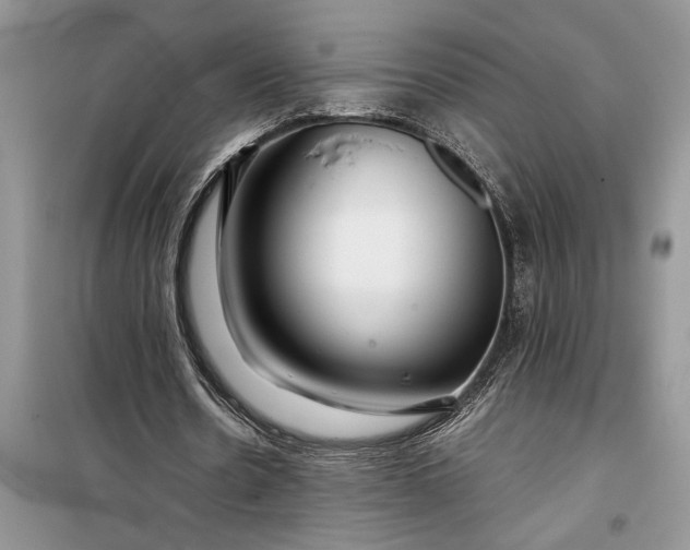 X0000099510530200805291151