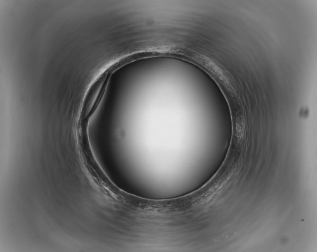 X0000099510532200805291151