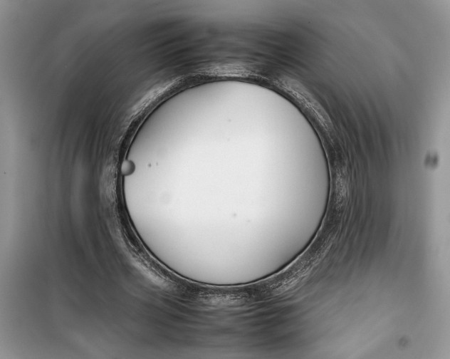 X0000099510533200805291151