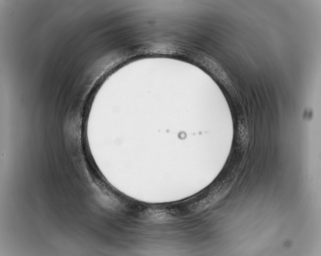 X0000099510534200805291151