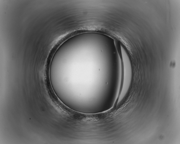 X0000099510536200805291151