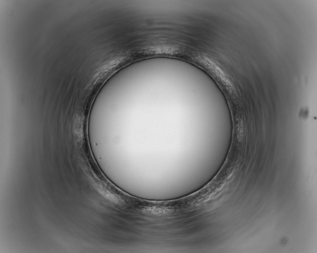 X0000099510537200805291151