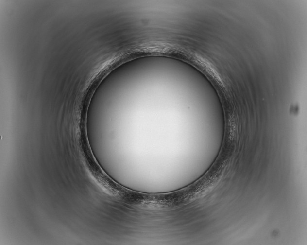 X0000099510538200805291151