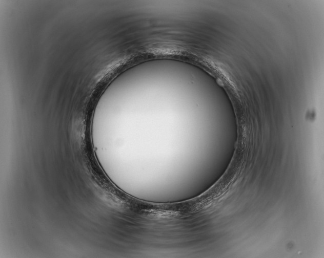 X0000099510539200805291151