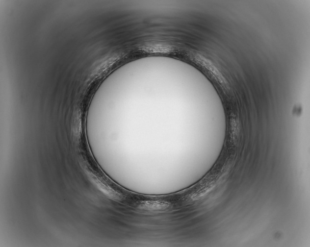 X0000099510541200805291151