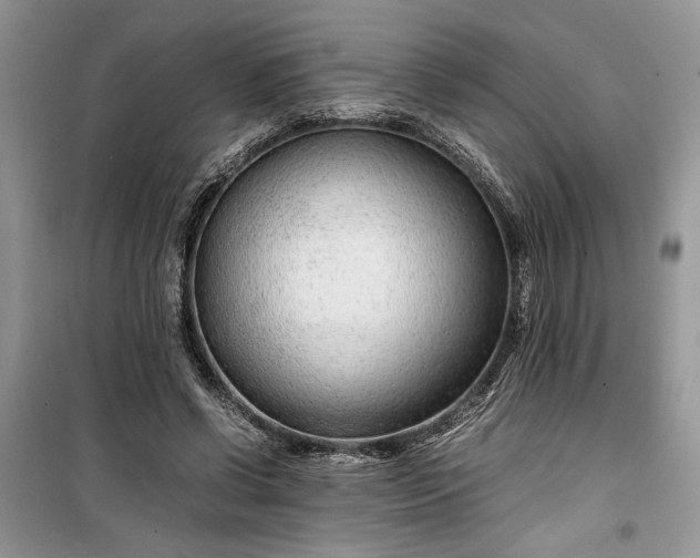 X0000099510542200805291151