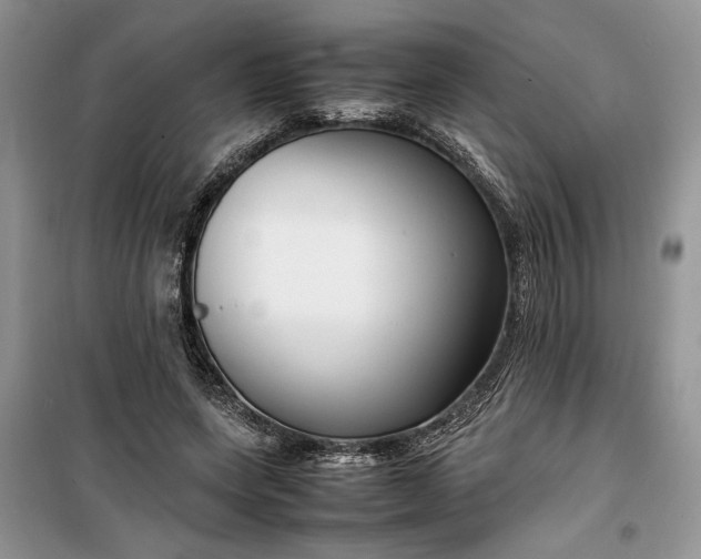 X0000099510543200805291151