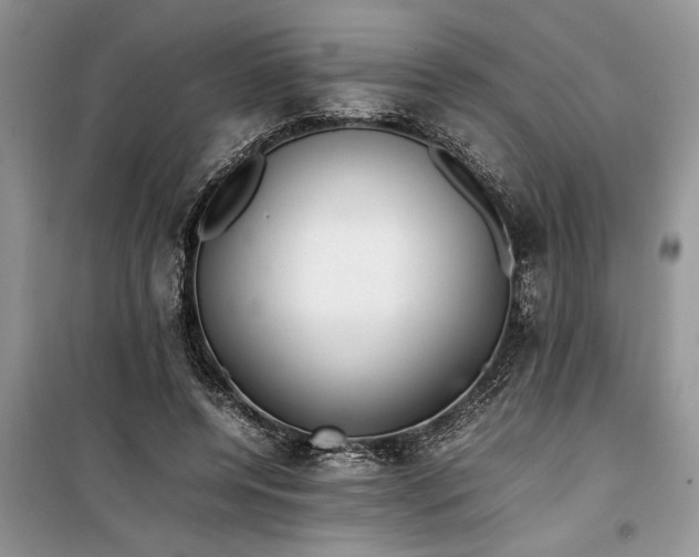 X0000099510544200805291152