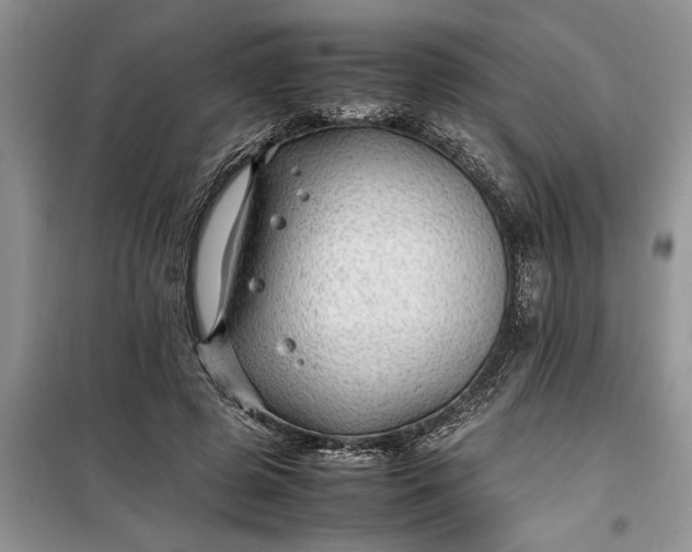 X0000099510545200805291152